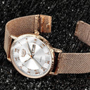 catalog-src:678c5957c033 The Celina
