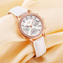 catalog-src:11207ae22f73 The Lumière